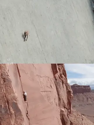 在疯狂动物城里看到了王一博对比gif动态图_1