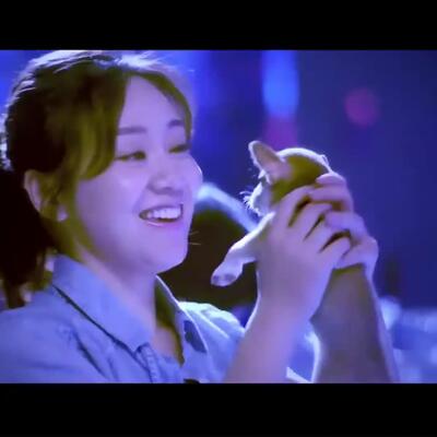 《疯狂七十二小时》截了一段精彩片段